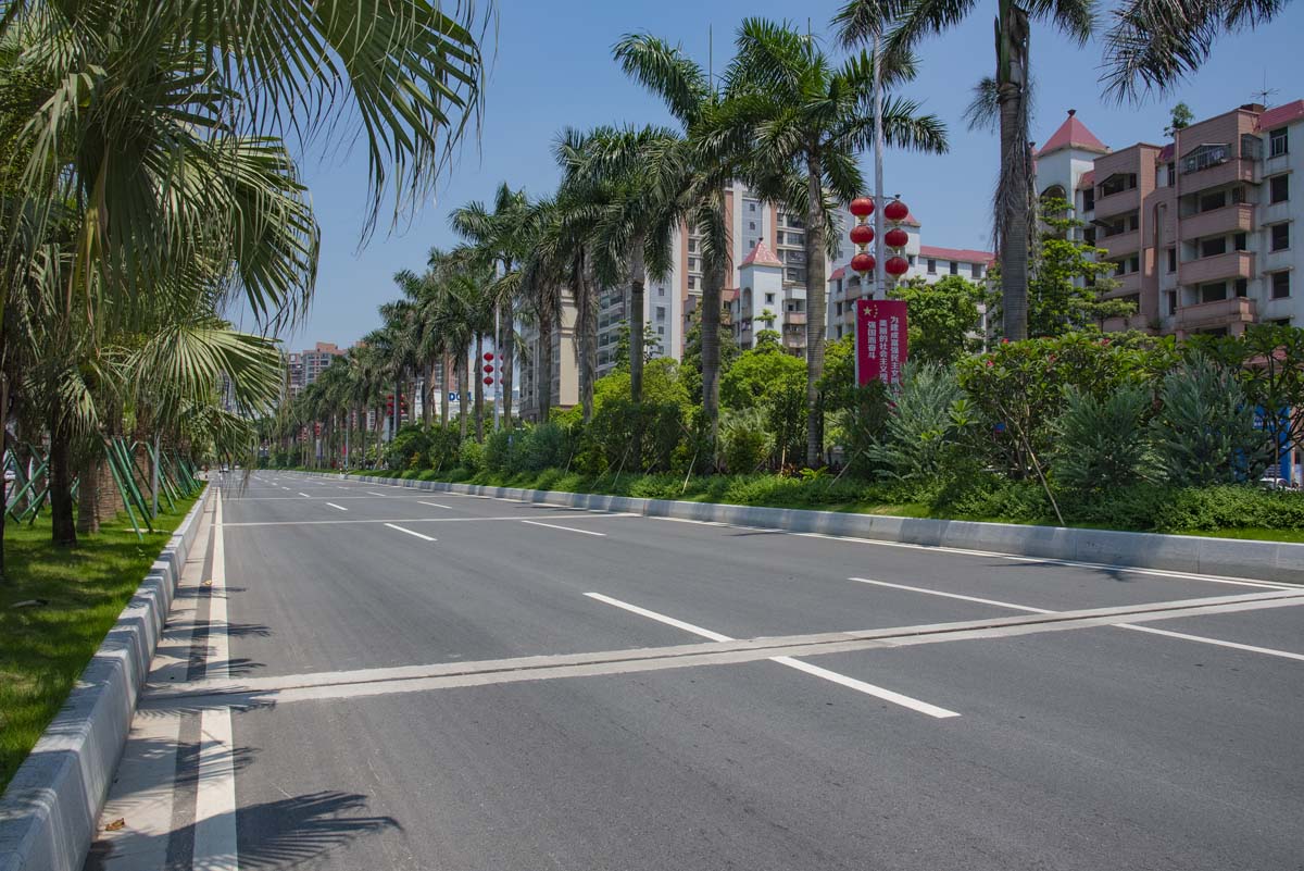 新会冈州大道刷新工程